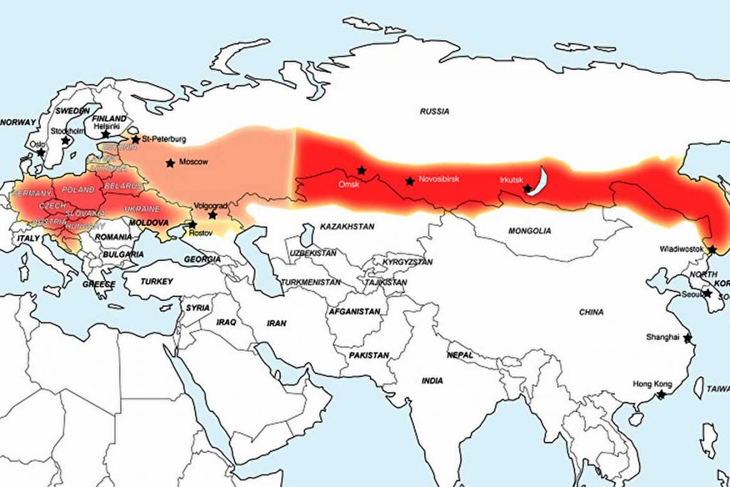 Карта заражения клещами